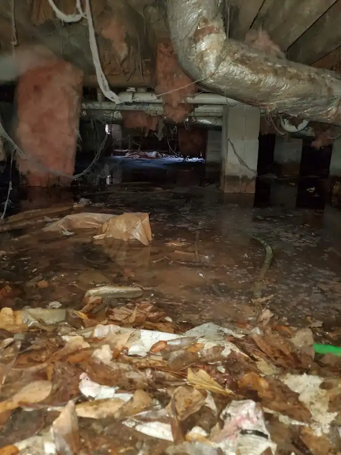 Crawl space flood assessment for Commercial Water Damage Restoration in Mont Belvieu